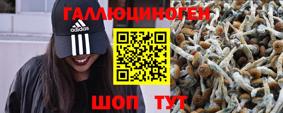 Псилоцибиновые грибы прущие грибы Альметьевск