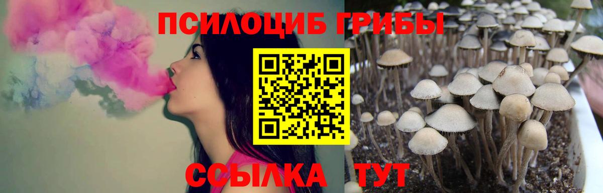Галлюциногенные грибы Psilocybine cubensis  Псилоцибиновые грибы Magic Shrooms  Альметьевск  Вход с VPN 
